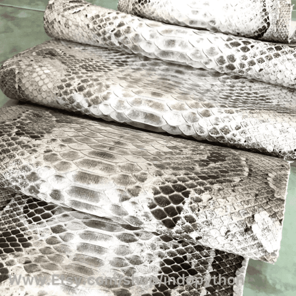 Indopython Glossy Natural Snakeskin