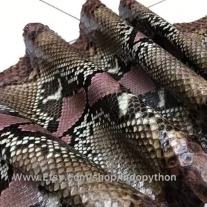 Brown With Dirty Pink Python Leather