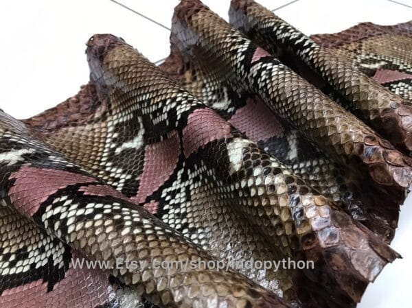 Brown With Dirty Pink Python Leather