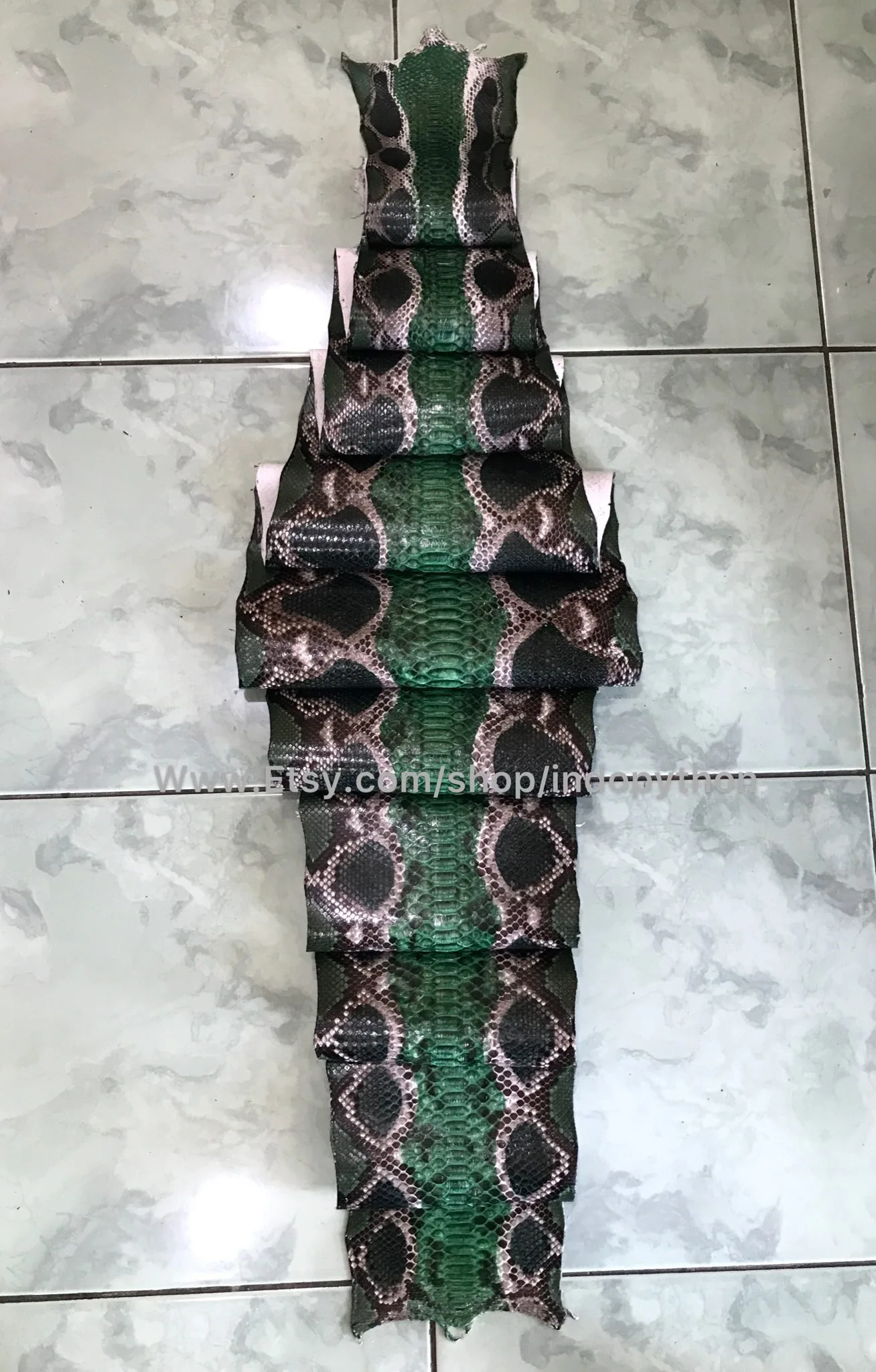 Green Python Leather - Image 6