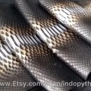 Indopython Black Silver Snakeskin