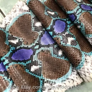 Indopython Blue Brown Multicolor