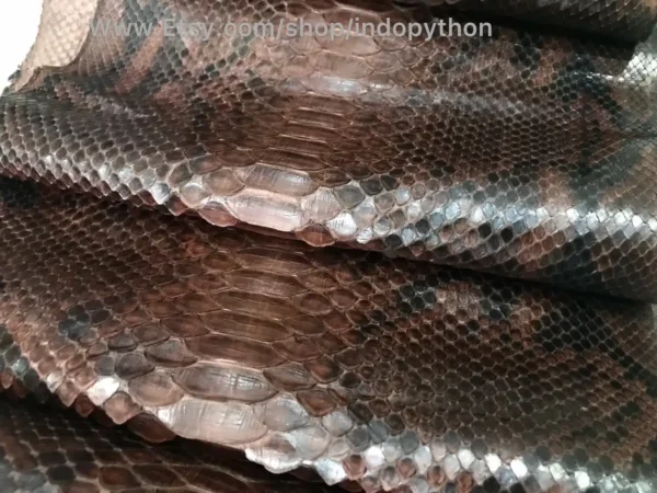 Indopython Brown Snakeskin