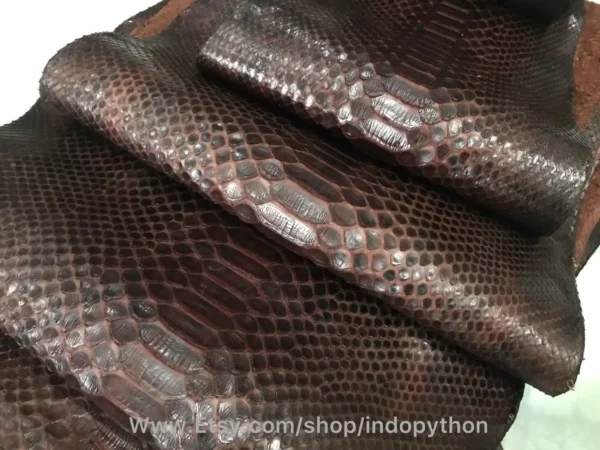 Indopython Brown Snake Skin