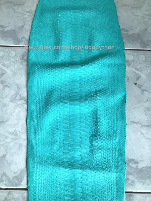 Green Mint Python Leather