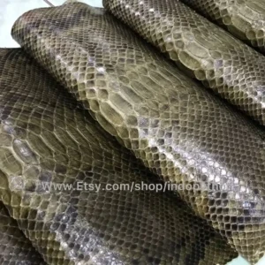 Indopython Green Olive Snakeskin