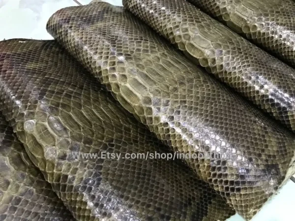 Indopython Green Olive Snakeskin