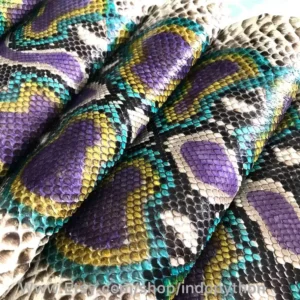 Indopython Purple Multicolor