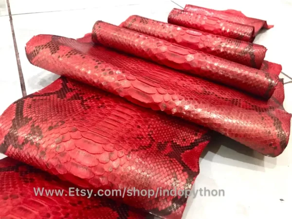 Indopython Red Snakeskin