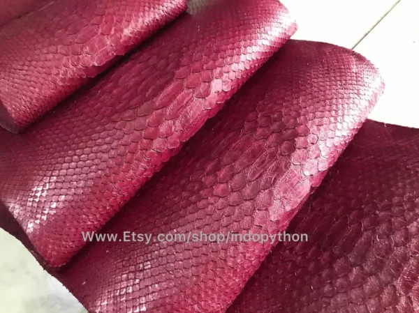 Indopython Bordeaux Snakeskin