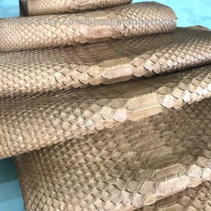 Indopython Mocha Snakeskin