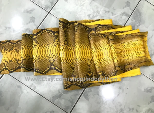 Yellow Python Leather