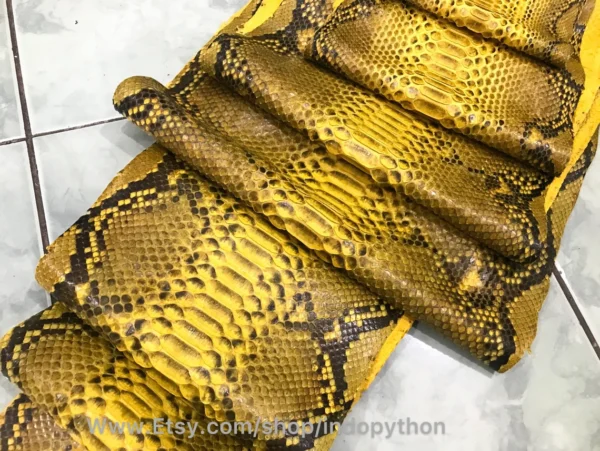 Yellow Python Leather