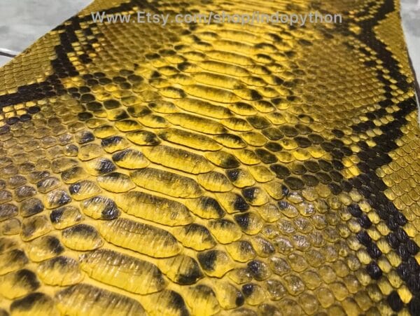 Yellow Python Leather