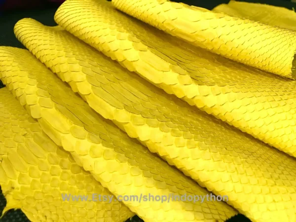 Indopython Yellow Snakeskin