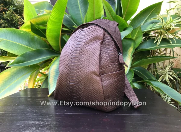 Brown Small Backpack