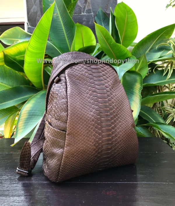 Brown Small Backpack