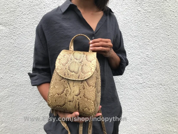 Beige Python Snakeskin Bag