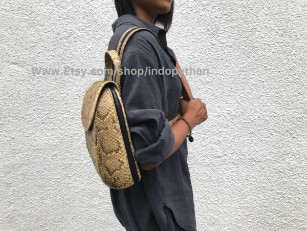 Beige Python Snakeskin Bag