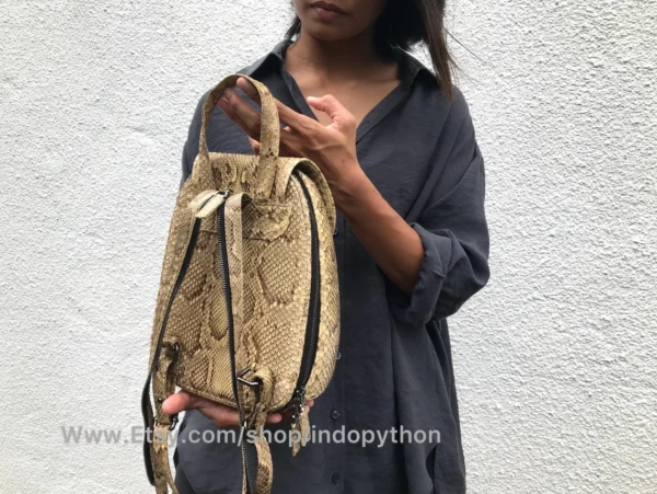 Beige Python Snakeskin Bag