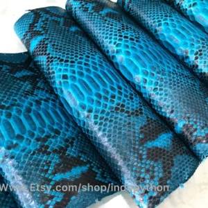 Blue Turquoise Python Leather