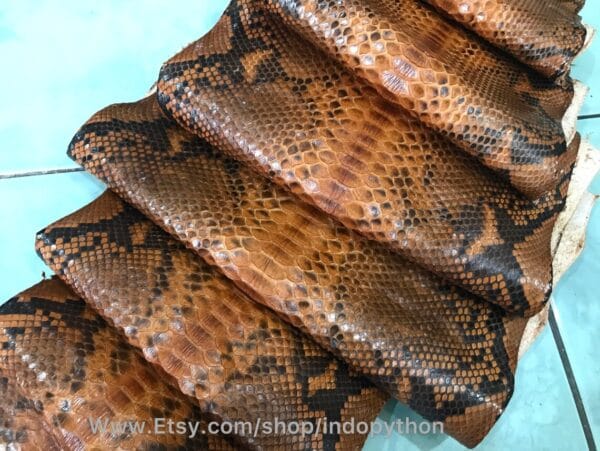 Brown Big Python Leather