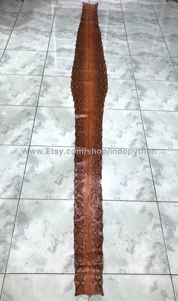 Brown Big Python Leather