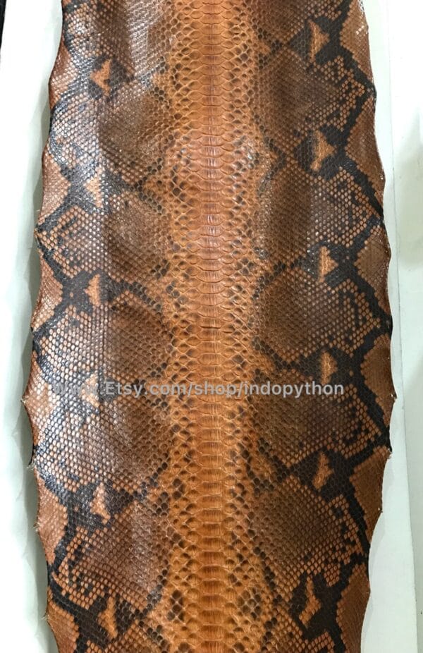 Brown Big Python Leather