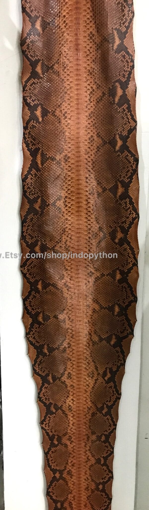 Brown Big Python Leather