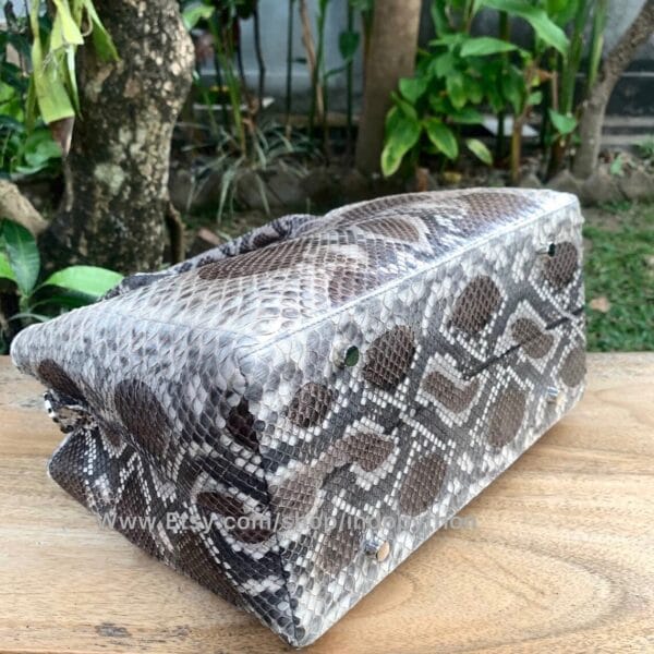 Exclusive Brown Python Tote