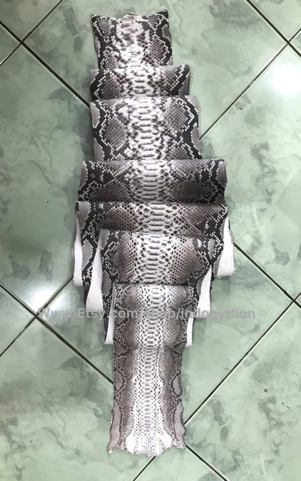 Natural Gray Python Leather