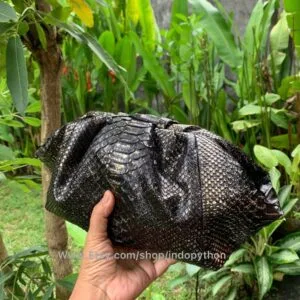 Sleek Black Python Cloud Bag