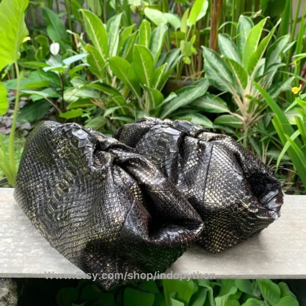 Sleek Black Python Cloud Bag