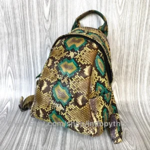 Vibrant Multicolor Python Bag