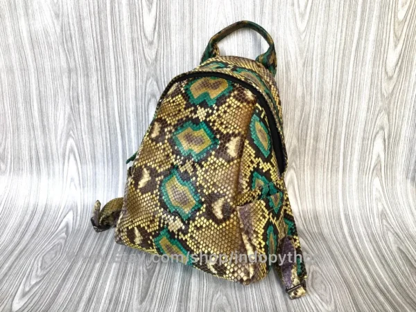 Vibrant Multicolor Python Bag