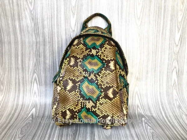 Vibrant Multicolor Python Bag