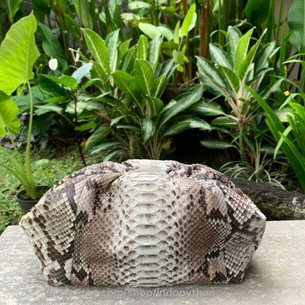 Luxurious Black Python Cloud Bag